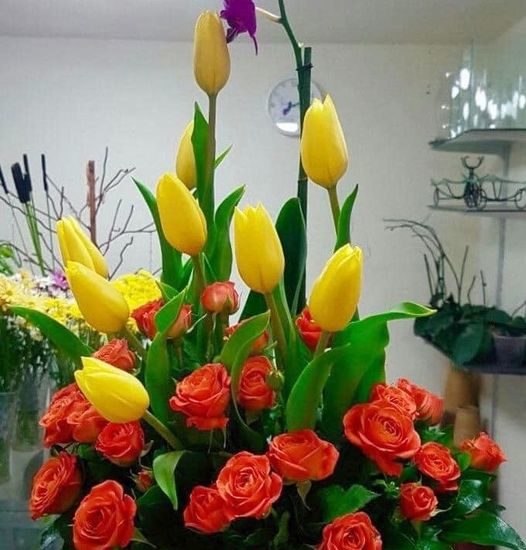 MÃES …